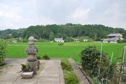 飛鳥寺西方遺跡の写真