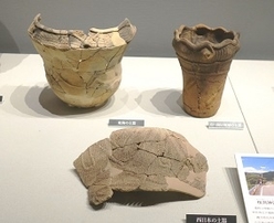 下呂市桜洞神田遺跡出土品
