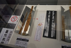 常設展示室展示風景