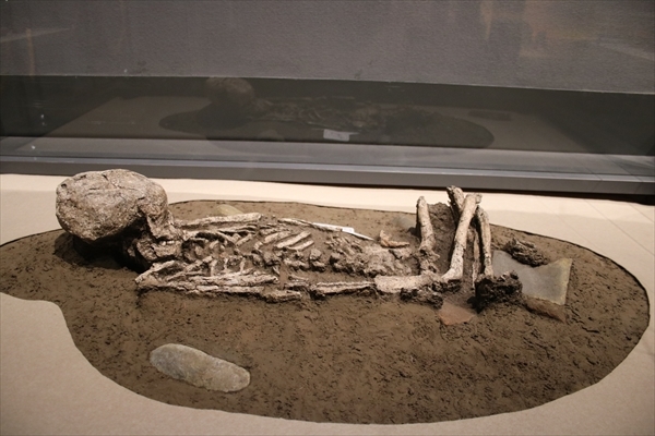 縄文時代の子どもの人骨の写真